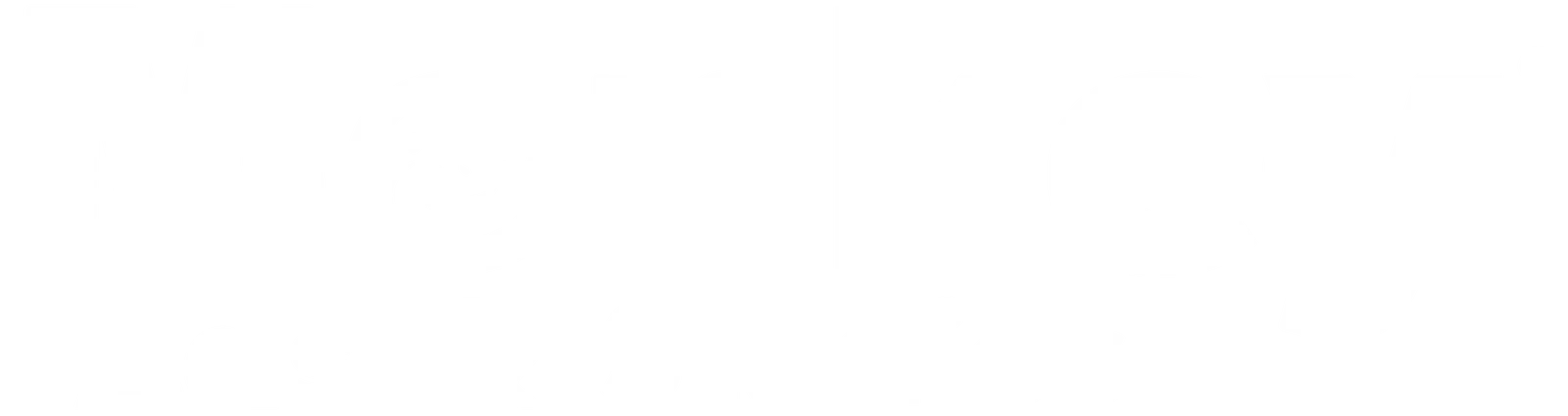 Monkey Ads - The Lead Machine - Video-first Performance Marketing Agency