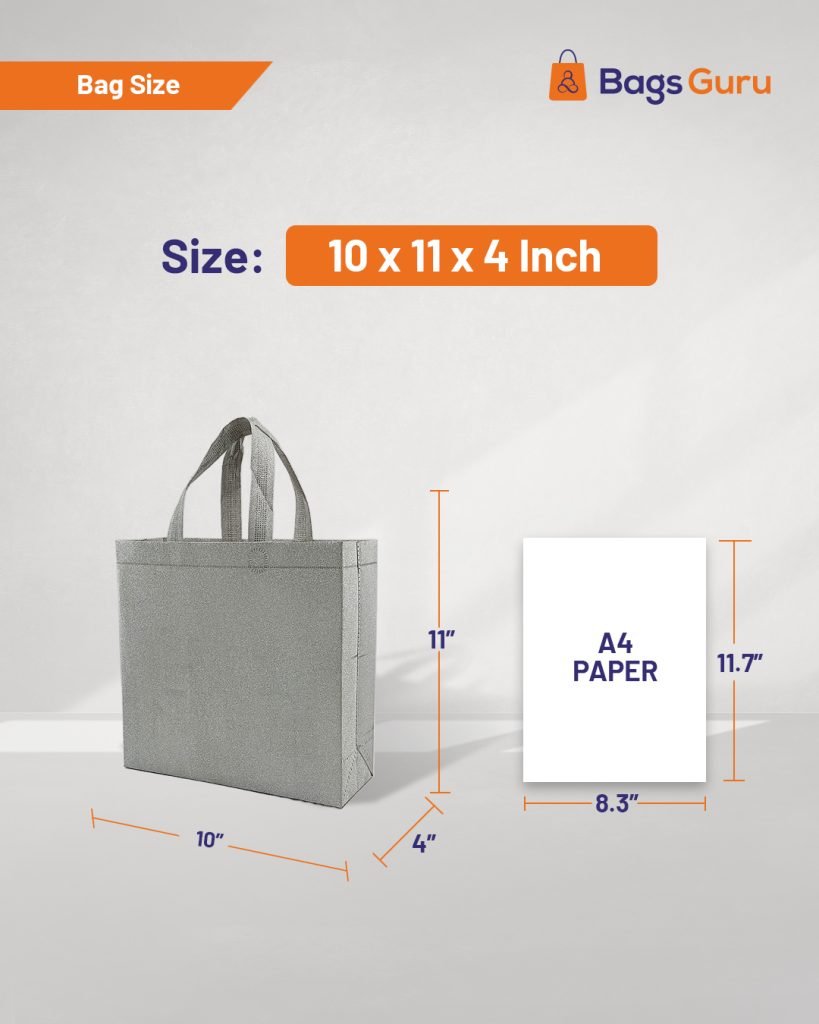Silver Glitter Bag 2